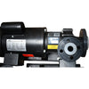NEW Shanley Pump HTM 10 PVDF Centrifugal Mag Drive Pump Worldwide Induction Motor NT1-36-56CB 1HP 3450 RPM 115/230V
