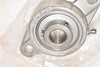 NEW AMI Bearings MUC202-10 MFL-204 2 Bolt Flange Stainless Steel Insert Bearing