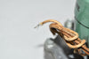 NEW Asco 8215B51 Red-hat Solenoid Valve 48v-dc 1''