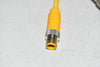 NEW Pepperl & Fuchs IRH-30M-1-VI Proximity Sensor 92710