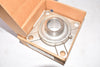 NEW PTI International P.T. International SUCSF208-24 SS 4-Bolt Flange Bearing 1-1/2''