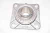 NEW SHUSTER SF206 SUC206-20 Stainless Steel 4 Bolt Flange Bearing 1-1/4'' Bore