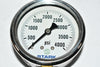 NEW Stark Industries 23B-4K 2.5'' 2-1/2'' Pressure Gauge 1/4'' NPT 0-4000 PSI