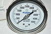 NEW Stark Industries 46S-5K-C 4'' 1/4'' NPT Pressure Gauge 5000 PSI