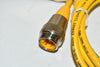 NEW Turck RSM 31-2M U2077-0 9728-00-0300/153236 Probe Sensor