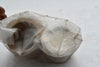 2 Packs of NEW Masoneilan Dresser FCV-11A 005675826913H Packing