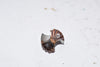 Dormer Hydra Carbide Drill Head, R95021/32