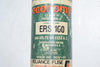 Economy ERS-100 Renewable Fuse 100A 600V