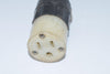 Leviton 15A 125V 2311 L5-20P Plug Receptacle 13'' OAL Power Cable