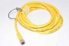 Lumberg, RKMV 4-633/2M Single-Ended Cord Set