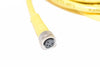 Lumberg, RKMV 4-633/2M Single-Ended Cord Set