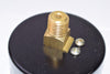 NEW, Ashcroft, 25W1005, H 02B, 2-1/2'', Brass Socket, 1/4 NPT Back, 533724
