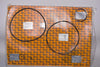 NEW Biffi Spare Kit Seals Pneumatic Cylinder, GB206A280220