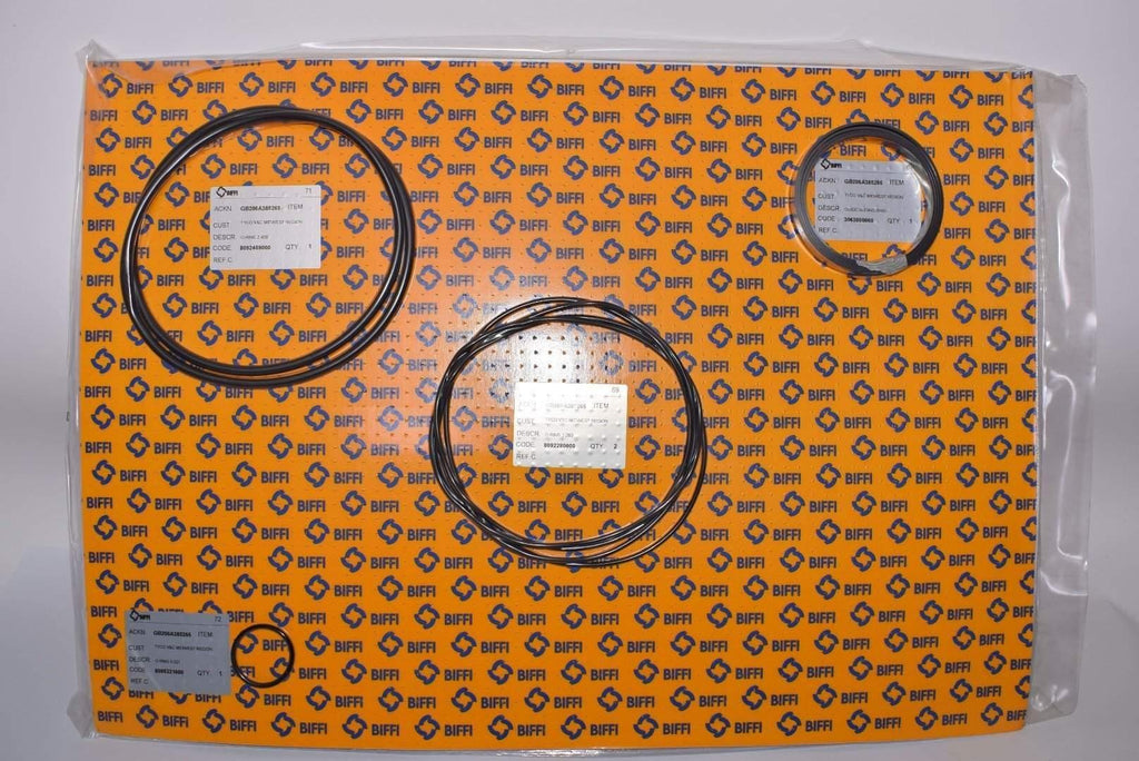 NEW Biffi Spare Kit Seals Pneumatic Cylinder, GB206A335265