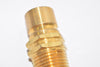 NEW Dixon Valve, CM4M4-B CM-Series Mold Interchange Plug 1/2'' 1/2-14