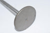 NEW Intake Valve 2'' OD 5-1/2'' OAL SPE2517X Brazil