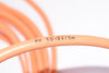 NEW Lumberg Automation, Model: RK 50-04/5m Single Ended Cord Set