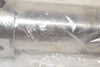 NEW Nissei H00100030 Check Vale Screw Tip 6-1/2'' OAL