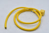 NEW Numatics 6150302732 02070496 Cable Connector Assy