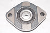 NEW RBL SBFD204-12J 2-Bolt Flange Bearing 3/4''