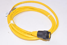 NEW TURCK, Model: RS-40-2M ID: U2084, Single Ended Cord Set