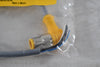 NEW TURCK WS 4.4T-0.3 U3501-94 Cordset Cable Assy