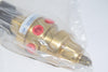 NEW Veriflo DIR601B6P4 Pressure Regulator 3000 PSI