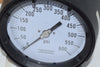 NEW Versa 4904QPM3 4-1/2'' Pressure Gauge 0-600 PSI 1/4'' NPT Bottom