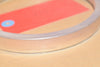 Ring, Seal, Valve, 5.817'' Block Valve, A5BE1, 566867, 5-3/4'' OD, 5-1/8'' ID