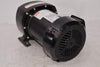 NEW DAYTON 6K396A AC Gearmotor 1/3 HP 115V 5.5A