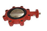 NEW BRAY A536 31 6'' Butterfly Valve 250 PSI EPDM