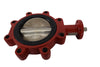 NEW BRAY A536 31 6'' Butterfly Valve 250 PSI EPDM