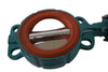 NEW InterApp IA25 DA Butterfly Valve F05-07.14 10BAR