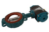 NEW InterApp IA25 DA Butterfly Valve F05-07.14 10BAR