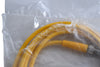 NEW Turck PSG 4M-2 Cordset, M8 Male to Cut-end, Yellow, 4 cond., 2 meters