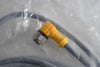 NEW Turck WK 4.5T-2/S618 U2436-02 Cordset, Right-Angle