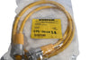 NEW Turck RSMS RKMS 61-1.6M/CS11460 UX13010 Double-ended cable / cordset 1.6m / 5ft length