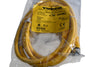 NEW Turck RKC 4.4T-2-RSC 4.4T Cordset, M12 Male to M12 Female, Yellow, 4 cond., 2 meters, Eurofast Series