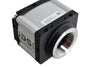 IDS Camera UI-5490RE-C-HQ PoE Rev.2 uEyeRE Ethernet Camera, 1/2? CMOS camera Germany