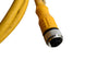 Turck RKC 4.4T-2-RSC 4.4T Cordset, M12 Male to M12 Female, Yellow, 4 cond., 2 meters, Eurofast Series