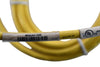 NEW Banner Engineering MQEAC-606 Cable assembly with a Micro-Style Socket and an Unterminated End