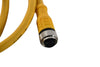 Turck RKC 4.4T-2 Cordset, M12 Female to Cut-end, Yellow, 4 cond., 2 meters, Eurofast Series