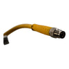 AEC Magnetics CEX-150-0026 Electromagnet