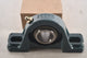 NEW Dodge P2B-SC-100 Pillow Block Ball Bearing Unit - 2-Bolt Base, 1 in Bore, Cast Iron Material