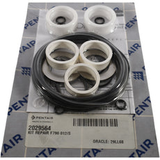 NEW Pentair 2029564 Kit Repair F790 012/S