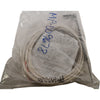 NEW Fedegari PM600085 RTD �8 4 WIRES FIXED 7ML300 PT100 Probe Sensor
