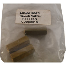 Pack of 3 NEW Fedegari CJ080010 CHECK VALVE F-F 1/8 MV23 0018