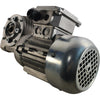 NEW Bonfiglioli F 44 P1 60 P63 B14 B3 Right Angle Gearbox Neri Motor T63B4 Asynchronous Motor