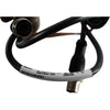 NEW Turck EKRB-ESRB-A4.300-GC2K-2 100033193 Double-ended cable cordset 2m / 6ft length