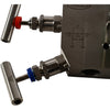 NEW Dwyer BBV-21 Series BBV-2 5-valve manifold with side mounted vent valves